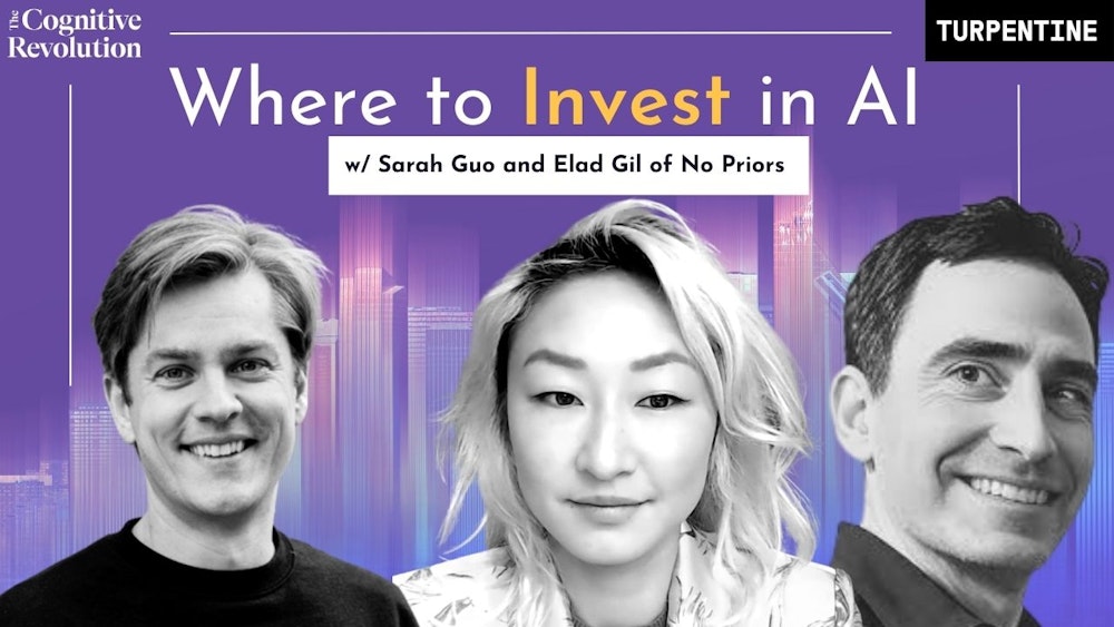 VC Insights on Investing in Artificial Intelligence: A discussion with Sarah Guo and Elad Gil of the No Priors podcast