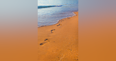 image for What Does A Footprint Tell About Me?