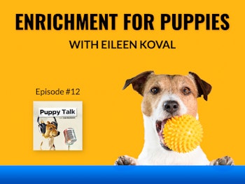 Enrichment For Puppies with Eileen Koval