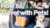Tips for Taking Road Trips with Your Pets