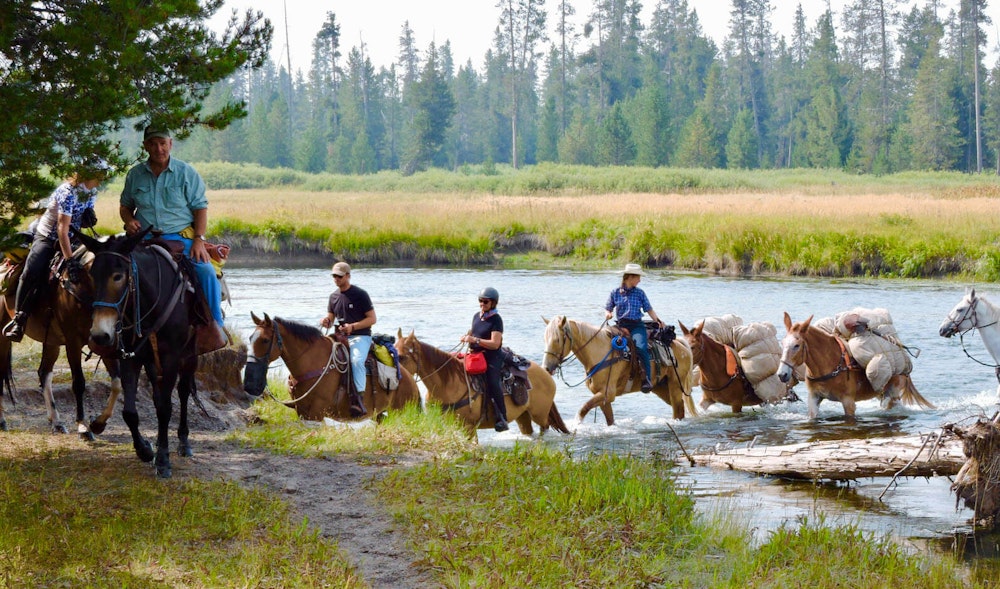 Horses, mules, and fly-fishing Yellowstone National Park backcountry with Shane McClaflin