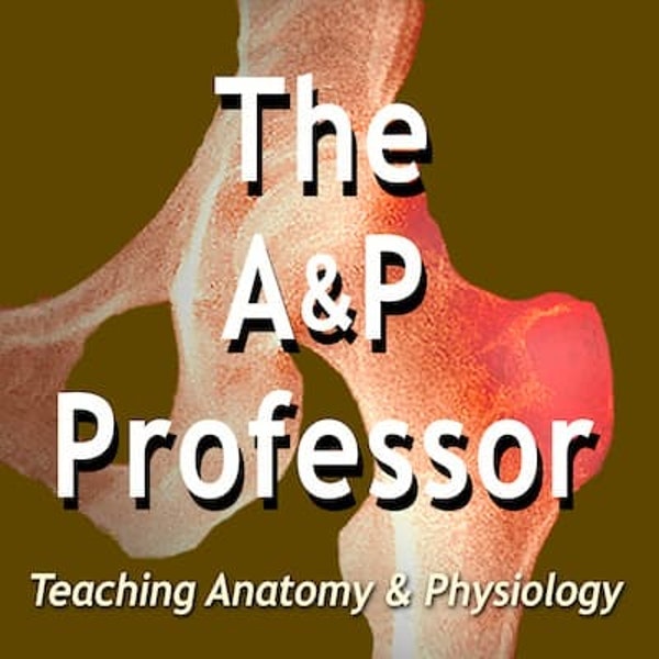 The A&P Professor