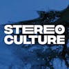 Stereoculture