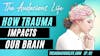 How Trauma Impacts Our Brain  - Ep. 92
