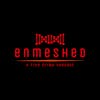 ENMESHED Logo