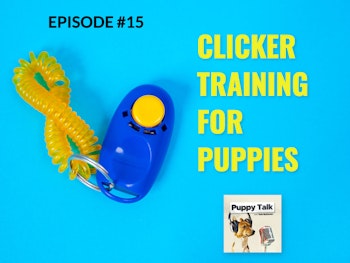 Clicker Training for Puppies