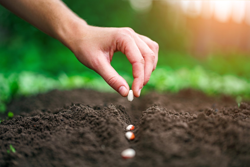 Closing Thought of the Week: Planting Seeds of Success - E29