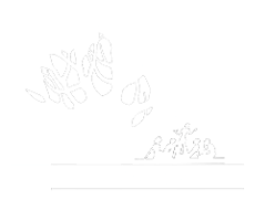 Baobab Tree Stories