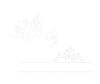 Baobab Tree Stories Logo