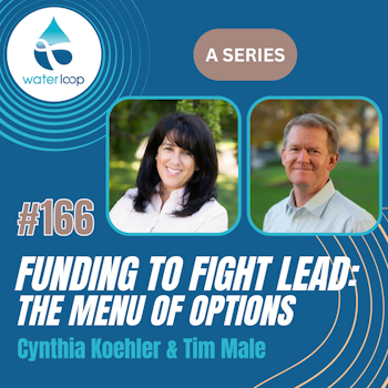 #166: Funding To Fight Lead: The Menu Of Options