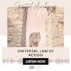Universal Law of Action {33 of 52 series}