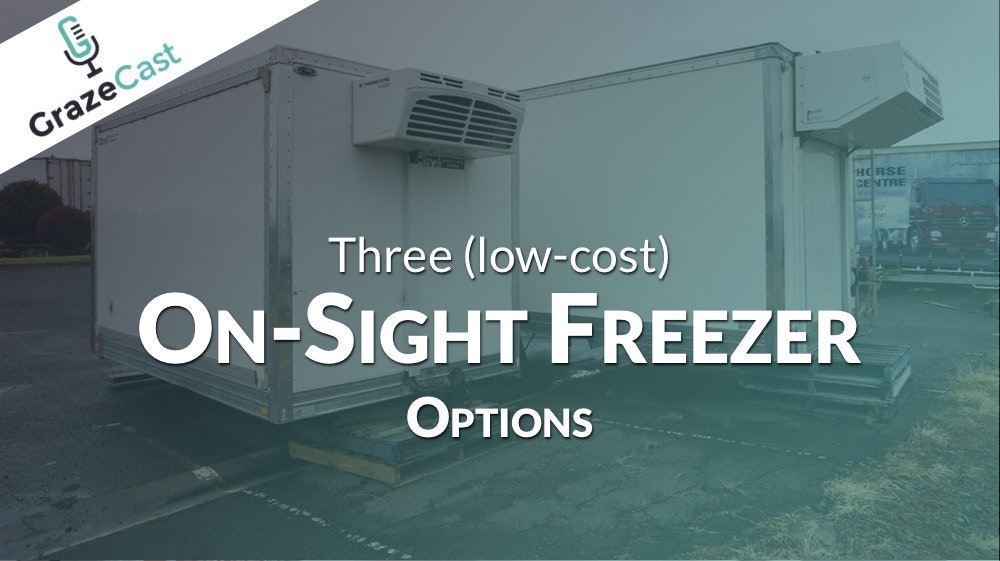 Three Affordable On-Sight Freezer Options