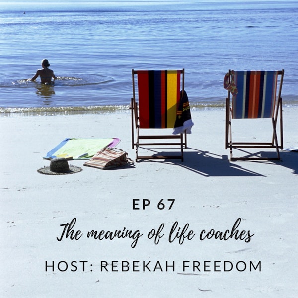 The Meaning of Life Coaches - HNS067