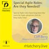 Special Agile Roles: Are They needed?