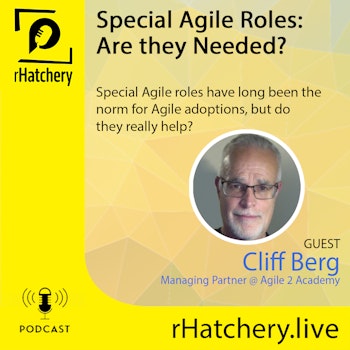 Special Agile Roles: Are They needed?
