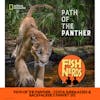 PATH OF THE PANTHER - COSTA SUNGLASSES BACKPACKERS PANTRY ep 315