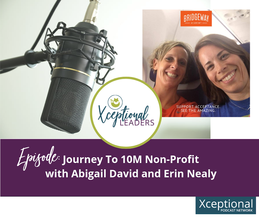 Journey to 10M Non-Profit with Abigail David and Erin Nealy