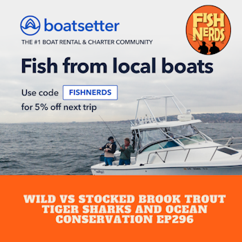 Wild vs Stocked Brook Trout Tiger Sharks and Ocean Conservation ep 286