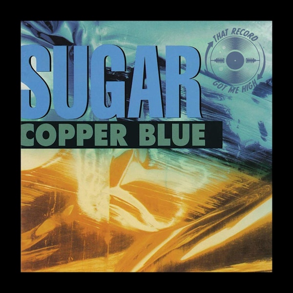 S6E261 - Sugar 'Copper Blue' with Elizabeth McCullough (Alpha Cat)