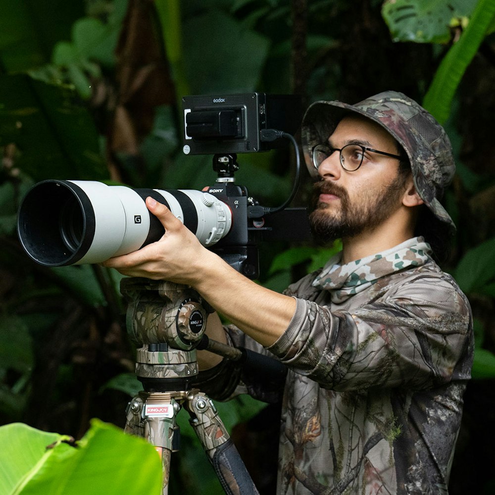 Wildlife Photographer and Sony Europe Imaging Creator Sasan Amir   | Sony Alpha Photographers Podcast