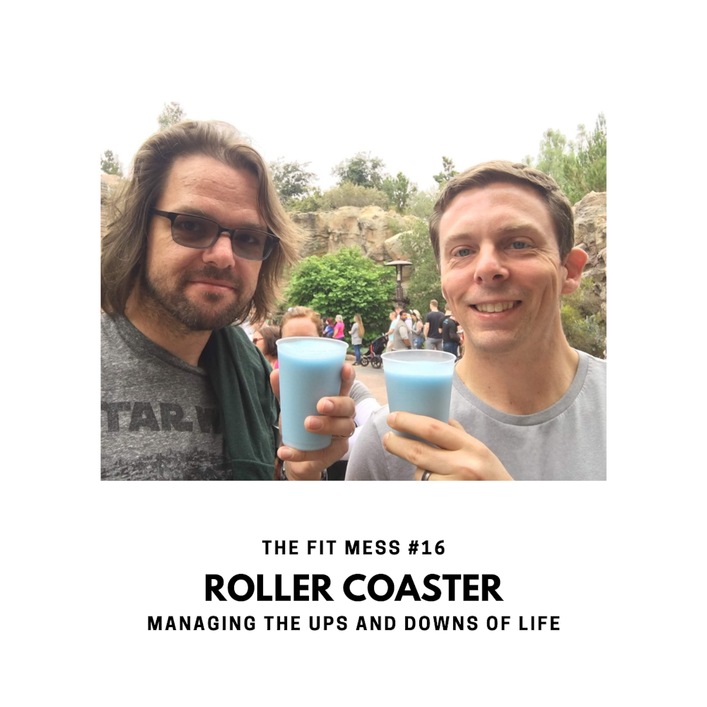 Life is a Roller Coaster