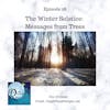 Winter Solstice Messages from the Trees