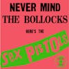 S6E267 - Sex Pistols 'Never Mind the Bollocks, Here's the Sex Pistols' with Steve Michener