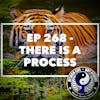 Ep 268 - There is a Process