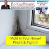 Mold in your home!  Where to look for it & How to fight it!