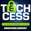 The Cyber Security Breaches Survey 2021. Techcess - Technology. Business. Success