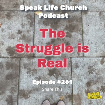 Struggle is Real - Episode 261