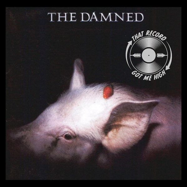 S6E273 - The Damned 'Strawberries' with Mark Williams