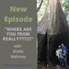 Where are you from with Sheila Maloney