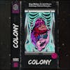 6 - Colony