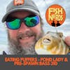 EATING PUFFERS - POND LADY & PRE-SPAWN BASS 310
