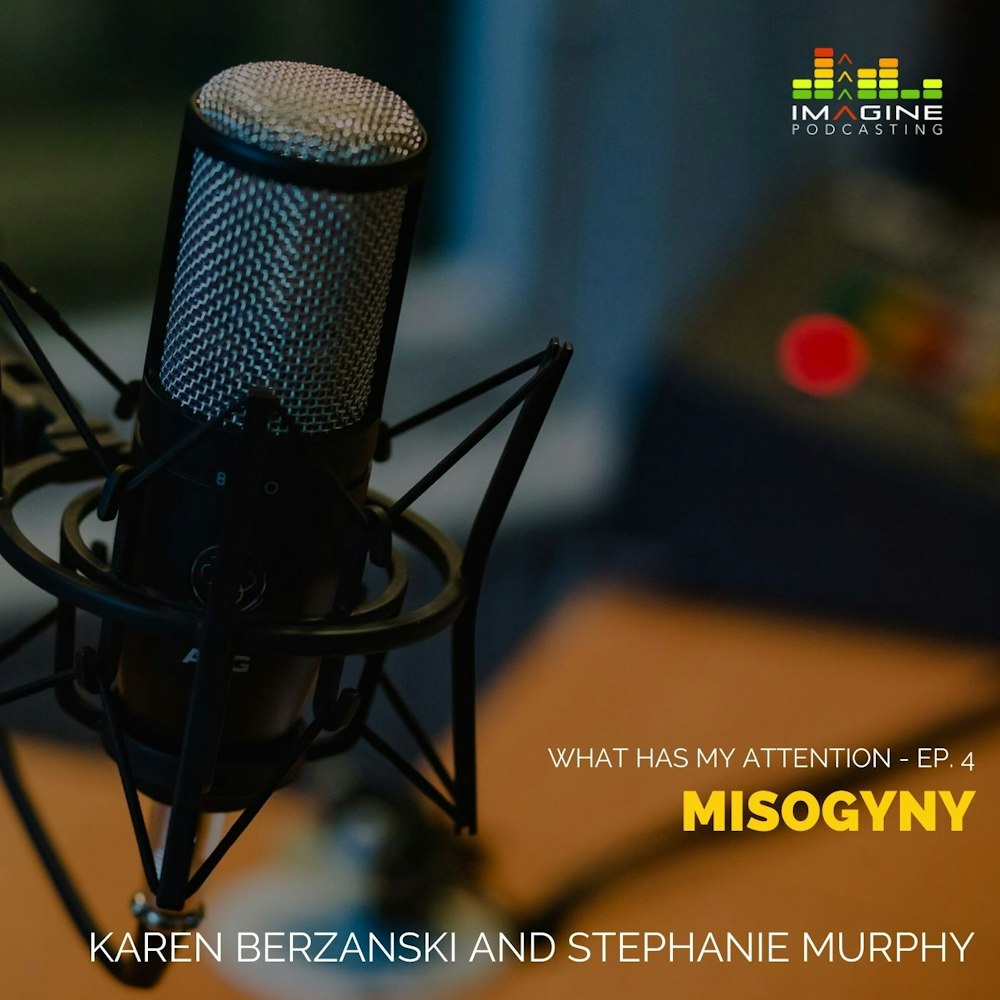 WISL 4 Misogyny feat. Karen Berzanski and Stephanie Murphy
