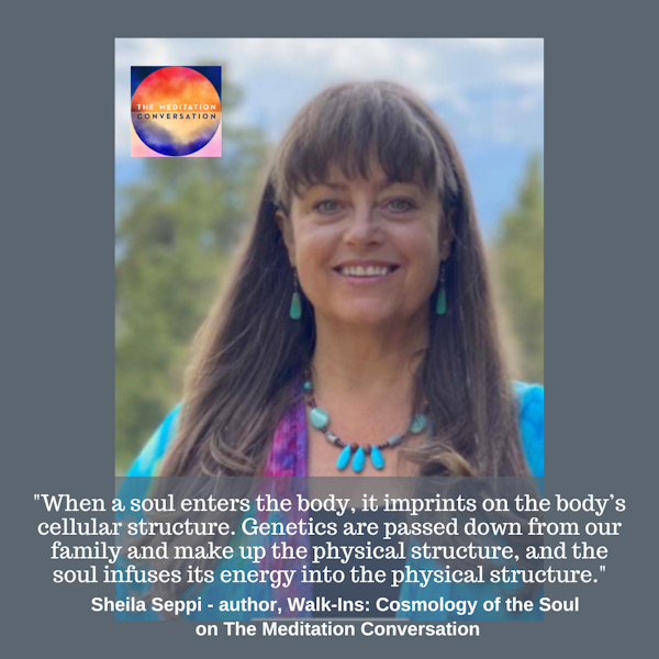 226. The Walk-In Experience: A Soul Exchange - Sheila Seppi