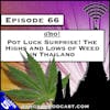 Pot Luck Surprise! The Highs and Lows of Weed in Thailand [S5.E66]