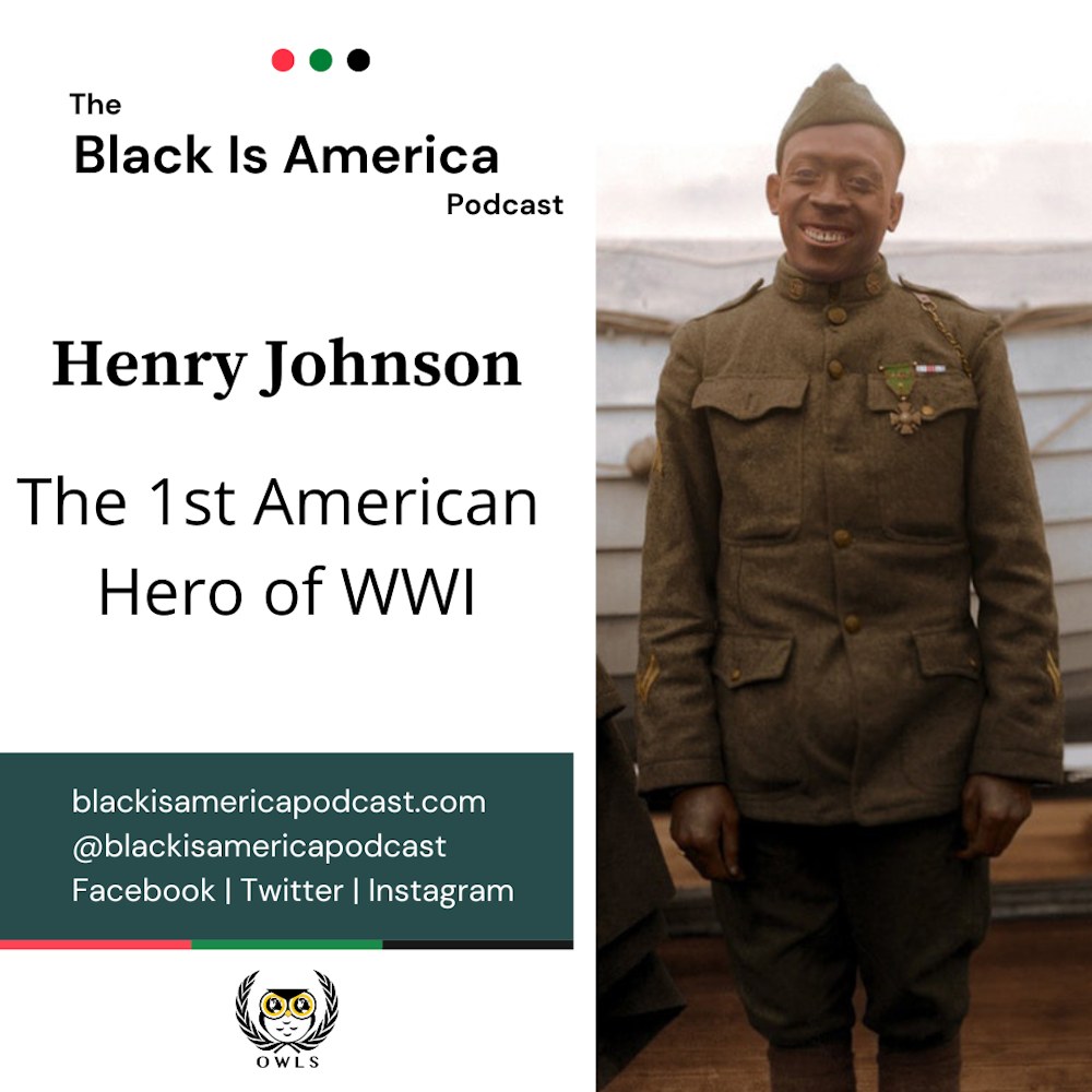 Henry Johnson: The First American Hero of World War I