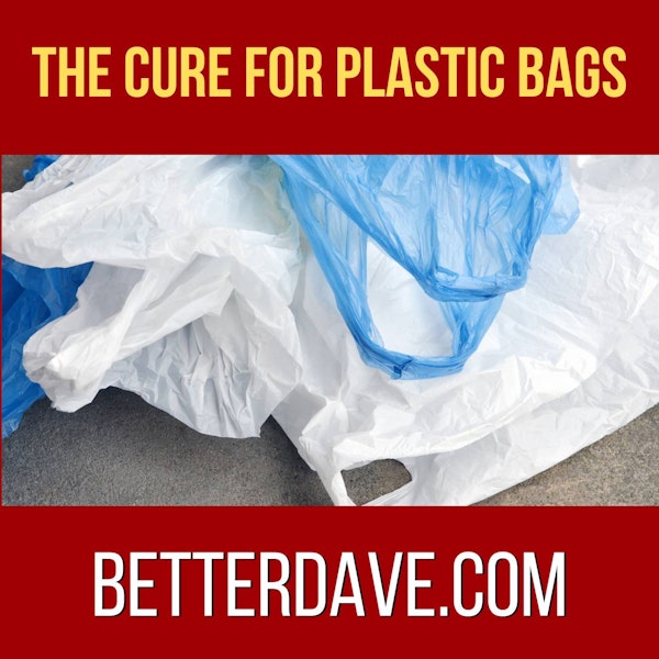 The Cure For Plastic Bags