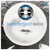 S7E348 - Wilco 'summerteeth' with Lynn Drury