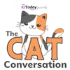 The Cat Conversation
