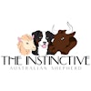 The Instinctive Australian Shepherd