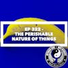 Ep 322 - The Perishable Nature of Things