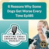 6 Reasons Why Some Dogs Get Worse Every Time Ep185