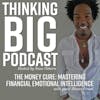 The Money Cure: Mastering Financial Emotional Intelligence