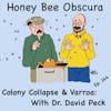 Episode image for Colony Collapse and Varroa, Plain Talk with Dr. David Peck (164)