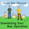 Episode image for Downsizing Your Bee Operation (157)