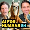 AI For Humans