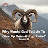 Why Would God Tell Me To Give Up Something I Love?